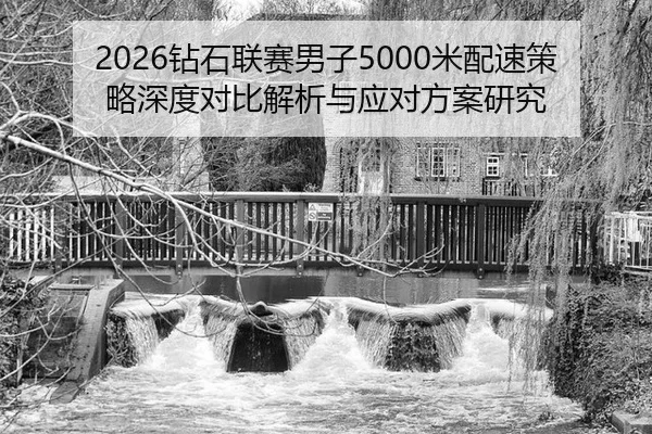 zuan-shi-lian-sai-nan-zi-mi-pei-su-ce-lve-shen-du-dui-bi-jie-xi-yu-ying-dui-fang-an-yan-jiu-2-857.jpg